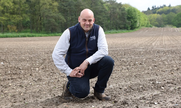 A man kneeling in a field.